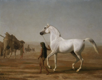 The Wellesley Grey Arabian Led | Free Photo - rawpixel The Wellesley Grey Arabian Led | Free Photo - rawpixel