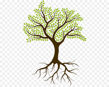 Theoretical Perspectives on Family Businesses Management Organization - the roots 