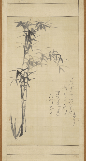 thin bamboo stalks with leaves | Free Photo - rawpixel