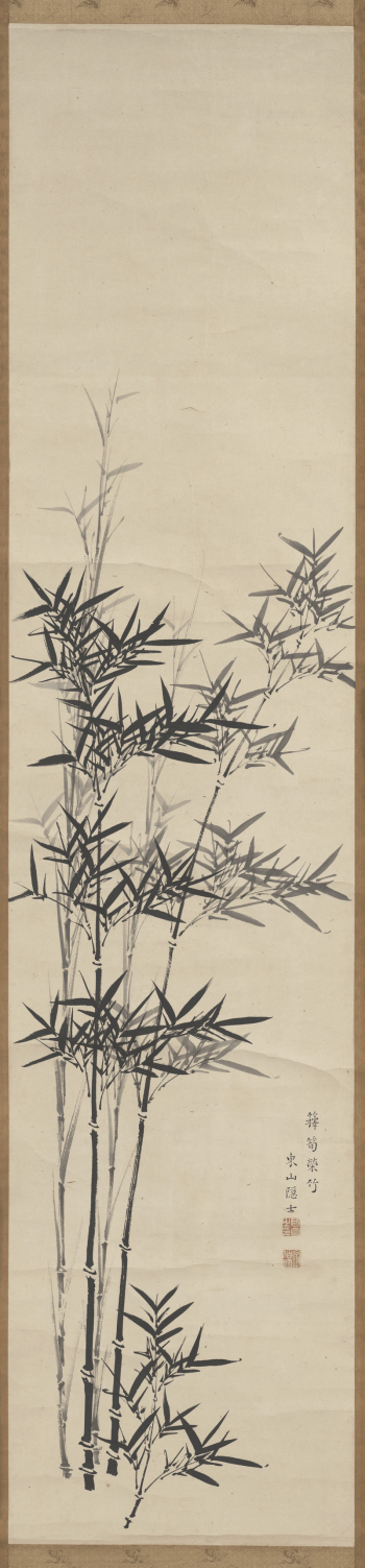 thin, tall shoots of bamboo | Free Photo - rawpixel