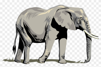 This Free Clip Arts Design Of Elephant Png - Elephant Clipart Png