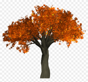 This High Quality Free Png Image Without Any Background - Autumn Tree Png