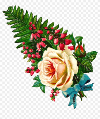 This Is A Lovely Digital Botanical Flower Clip Art - Botany This Is A Lovely Digital Botanical Flower Clip Art - Botany
