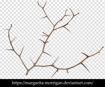 Thorns transparent background PNG clipart