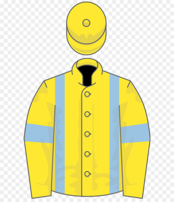 Thoroughbred Horse racing Jockey Wikimedia Commons - Thoroughbred Horse racing Jockey Wikimedia Commons -