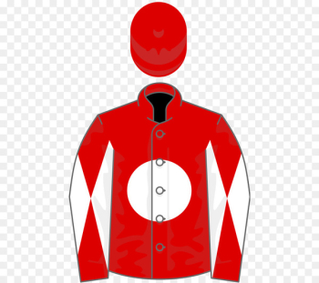 Thoroughbred Ladbrokes Trophy Irish Derby Horse racing - endeavour temper 5 years 