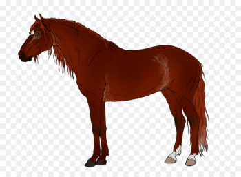 Thoroughbred Mare Pony Arabian horse Stock illustration - avaricious pattern 