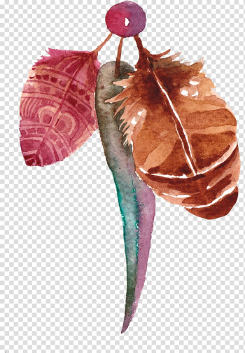 Three brown, green, and maroon leaves painting, Bohemian Feather, Bohemian national wind transparent background PNG clipart