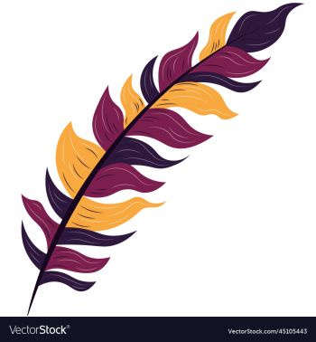 three color palette abstract feather three color palette abstract feather