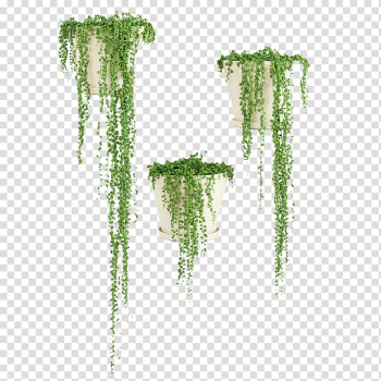 Three green potted leafed plants, Autodesk 3ds Max Flowerpot 3D modeling 3D computer graphics, Three grass flower basket transparent background PNG clipart