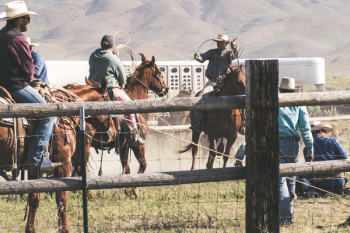 Three Men Riding Horses Three Men Riding Horses