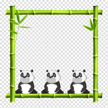 Three pandas illustration, Giant panda frame Bamboo , Panda bamboo frame transparent background PNG clipart
