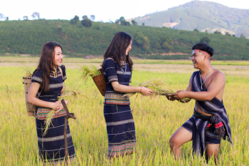 Three People Handing Out Crops Three People Handing Out Crops