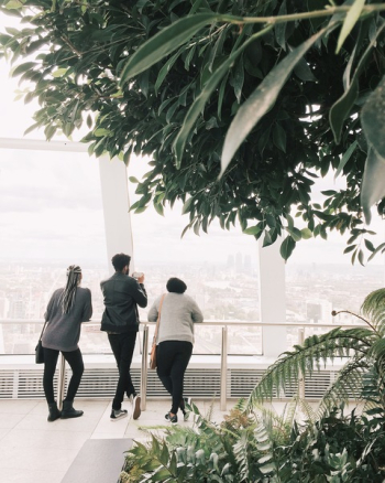 Three Person Looking at the Window Three Person Looking at the Window