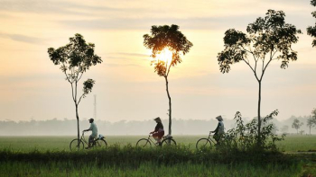 three person riding bikes on green grass field three person riding bikes on green grass field
