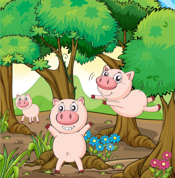 Three pigs playing in the forest