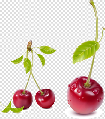 Three red cherries illustration, Cherry Fruit , cherry transparent background PNG clipart