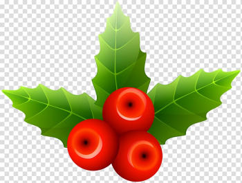 Three red cherries, Mistletoe Christmas , Mistletoe transparent background PNG clipart