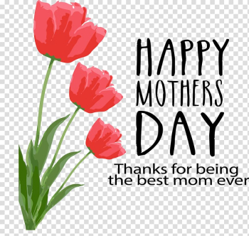 Three red flowers with Happy Mother's Day text overlay, Mother's Day Greeting card Friendship Father's Day, hand-painted flowers transparent background PNG clipart