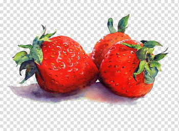 Three strawberries , Watercolor Still Life Tulips in a Vase Watercolor painting, Strawberry transparent background PNG clipart