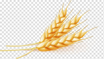 Three wheat leaves illustration, Wheat, Wheat transparent background PNG clipart Three wheat leaves illustration, Wheat, Wheat transparent background PNG clipart