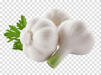 Three white garlic, Garlic Food Vegetable Onion, Garlic transparent background PNG clipart