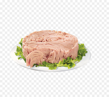 Thunnus Pizza Food Canned fish Fish market - tuna Thunnus Pizza Food Canned fish Fish market - tuna