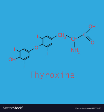 Thyroxine t4 levothyroxine thyroid hormone vector image Thyroxine t4 levothyroxine thyroid hormone vector image