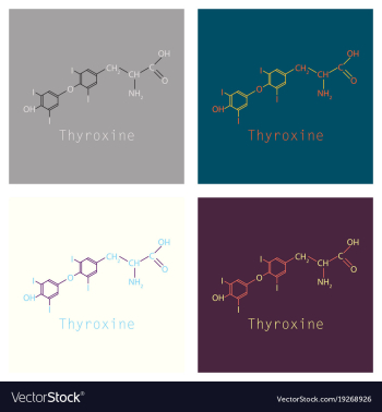 Thyroxine t4 levothyroxine thyroid hormone vector image Thyroxine t4 levothyroxine thyroid hormone vector image