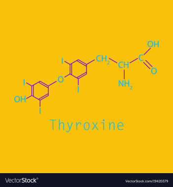 Thyroxine t4 levothyroxine thyroid hormone vector image Thyroxine t4 levothyroxine thyroid hormone vector image