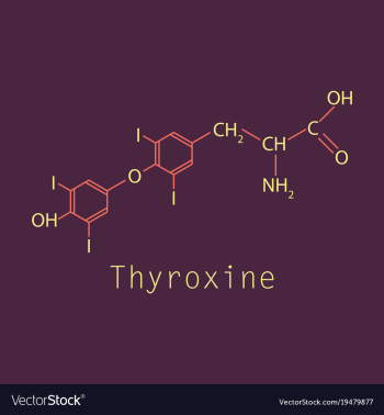 Thyroxine t4 levothyroxine thyroid hormone vector image Thyroxine t4 levothyroxine thyroid hormone vector image