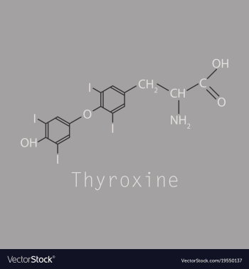 Thyroxine t4 levothyroxine thyroid hormone vector image Thyroxine t4 levothyroxine thyroid hormone vector image