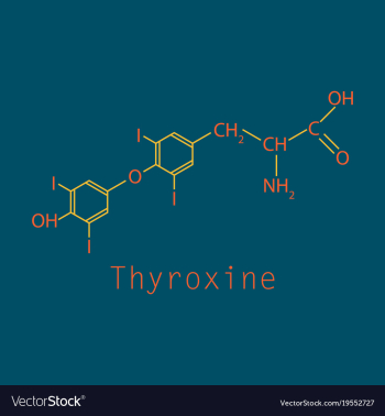 Thyroxine t4 levothyroxine thyroid hormone vector image Thyroxine t4 levothyroxine thyroid hormone vector image