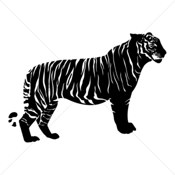 Tiger Tiger