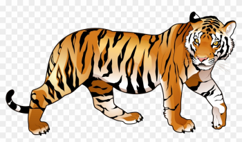 Tiger Clipart Png - National Animal Of India