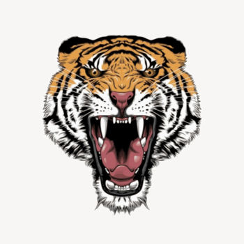 Tiger clipart, wildlife illustration vector. | Free Vector - rawpixel Tiger clipart, wildlife illustration vector. | Free Vector - rawpixel
