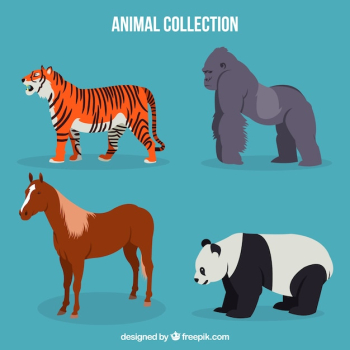 Tiger, gorilla, horse and panda with flat design