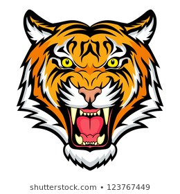 Tiger Head Images, Stock Photos & Vectors | Shutterstock