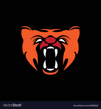 Tiger head logo vector image