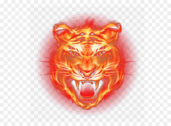 Tiger Light Flame Fire - Flame Tiger Tiger Light Flame Fire - Flame Tiger
