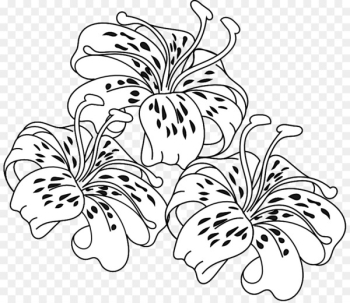 Tiger lily Easter lily Coloring book Flower - Tiger Lily Cliparts 