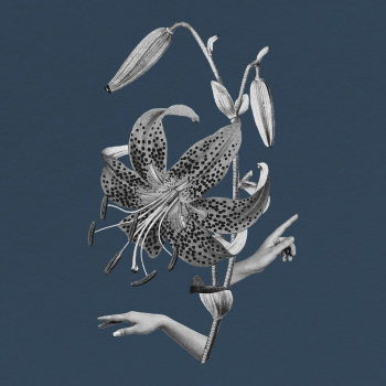 Tiger lily flower clipart, surreal | Free Photo - rawpixel Tiger lily flower clipart, surreal | Free Photo - rawpixel