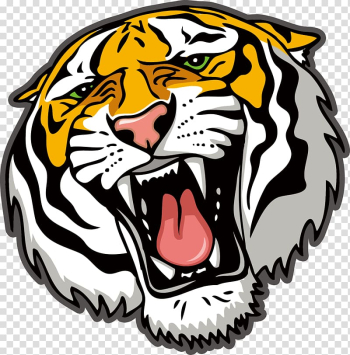 Tiger Line art , Hand-painted tiger transparent background PNG clipart
