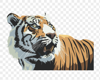 Tiger png sticker, wildlife illustration | Free PNG - rawpixel Tiger png sticker, wildlife illustration | Free PNG - rawpixel