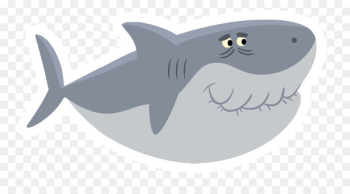 Tiger shark Baby Shark Birthday Requiem sharks - shark Tiger shark Baby Shark Birthday Requiem sharks - shark