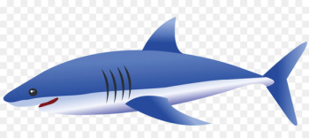 Tiger shark Fin Blue shark - Big blue shark 