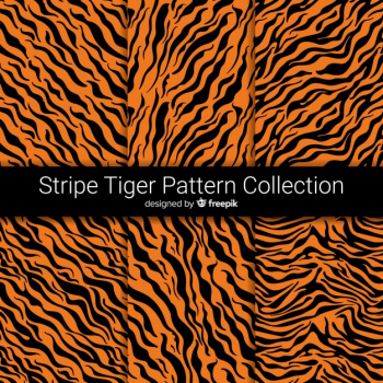 Tiger stripes pattern Tiger stripes pattern