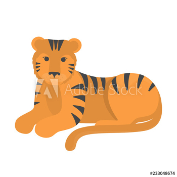 Tiger wild animal from the safari nature