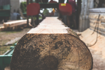 Timber 2 Timber 2