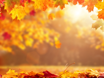 Time to lend a hand and help clean up the Fall leaves | 98.7 The Bull